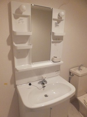 Washroom. Shampoo dresser