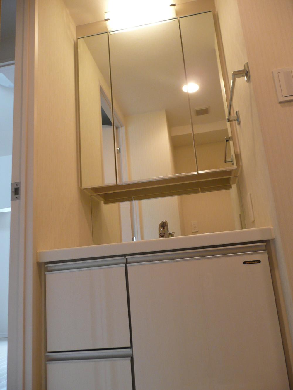 Wash basin, toilet. Bathroom vanity