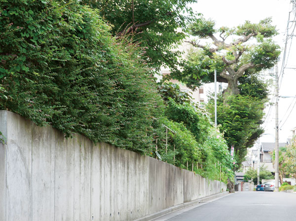 Surrounding environment. Local neighborhood streets (about 310m ・ 4-minute walk)