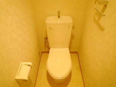 Toilet. Toilet