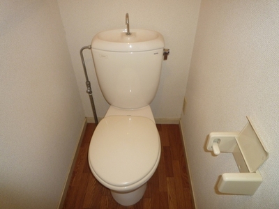 Toilet. Toilet