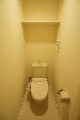 Toilet. Since the shelves are installed to the upper, What we need in the toilet in the toilet