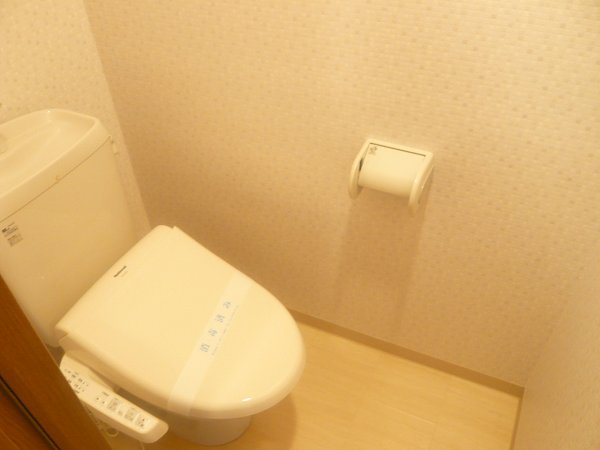 Other. Bidet function with toilet