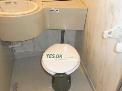 Toilet. Western-style toilet