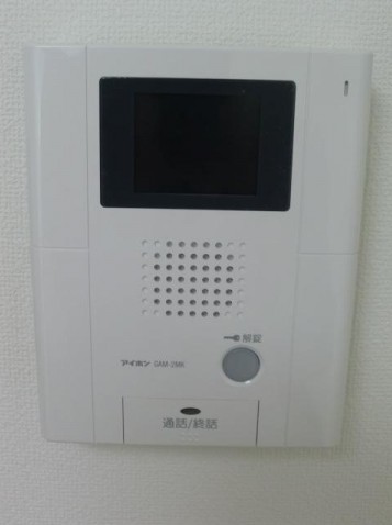 Security. Intercom with TV monitor