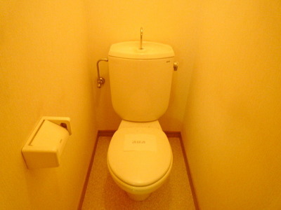 Toilet. Toilet