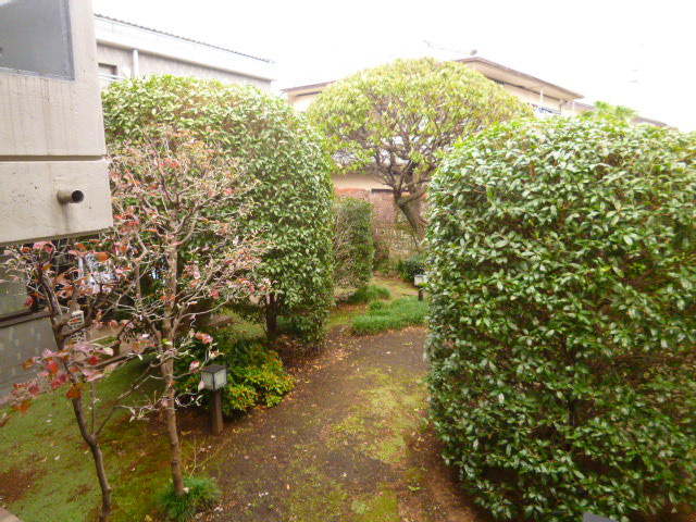 Other. Apartment courtyard