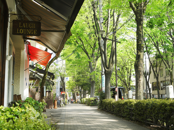Surrounding environment. Nakasugi Street (2-minute walk / About 90m)