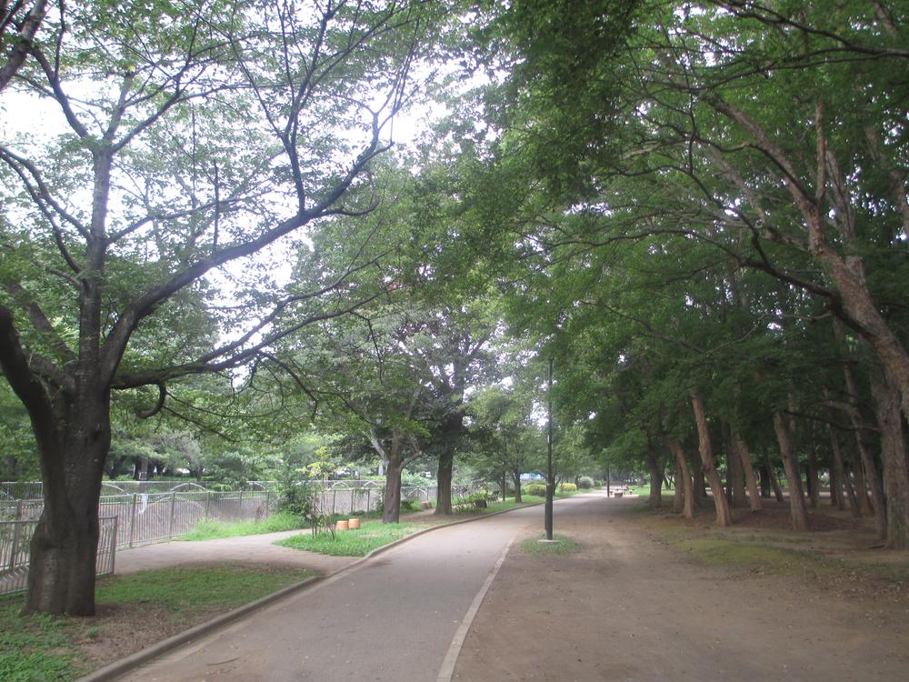 Other. Zenpukuji River green space About 200m from the property