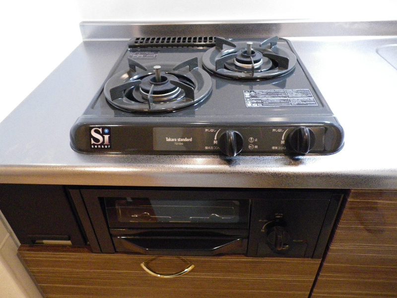 Other. Gas stove