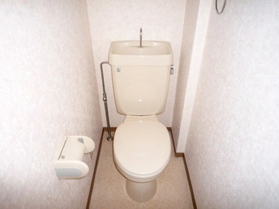 Toilet. Toilet