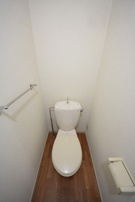 Toilet. Toilet