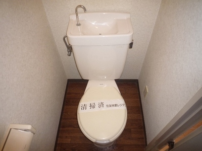 Toilet. Toilet