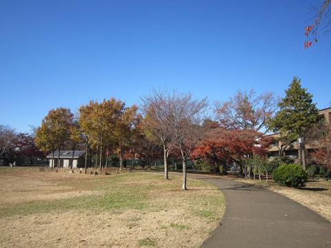 Other. Kashiwa the temple park walk 8 minutes