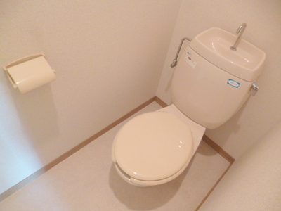 Toilet. Toilet with cleanliness There is also storage shelf at the top