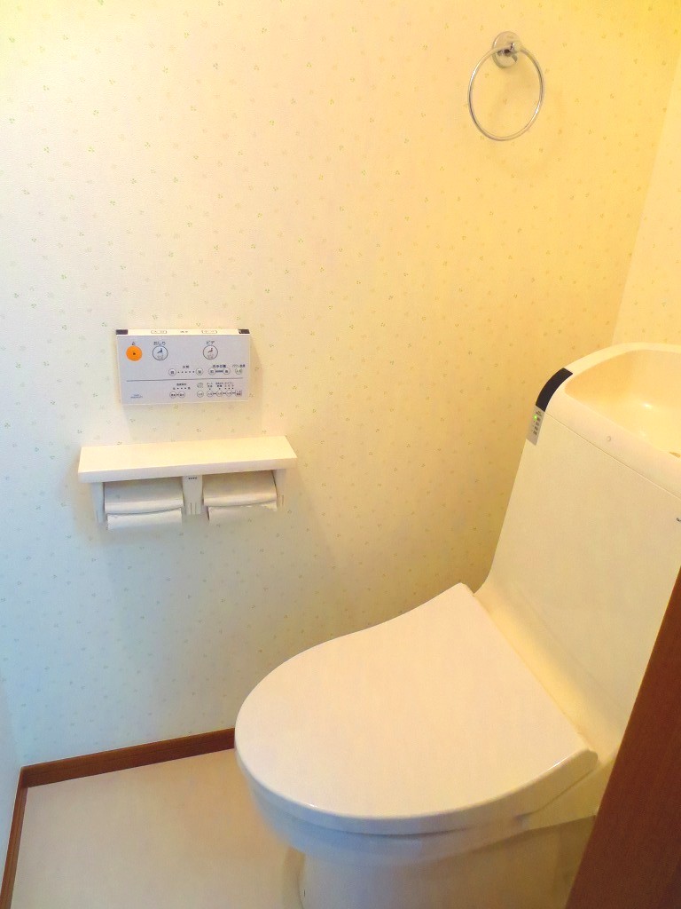 Toilet. With warm water washing toilet seat