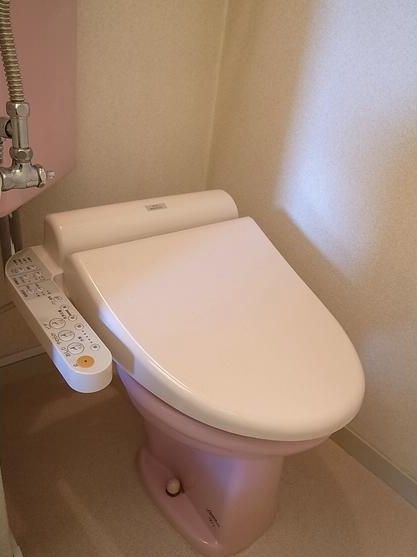 Toilet. Bidet