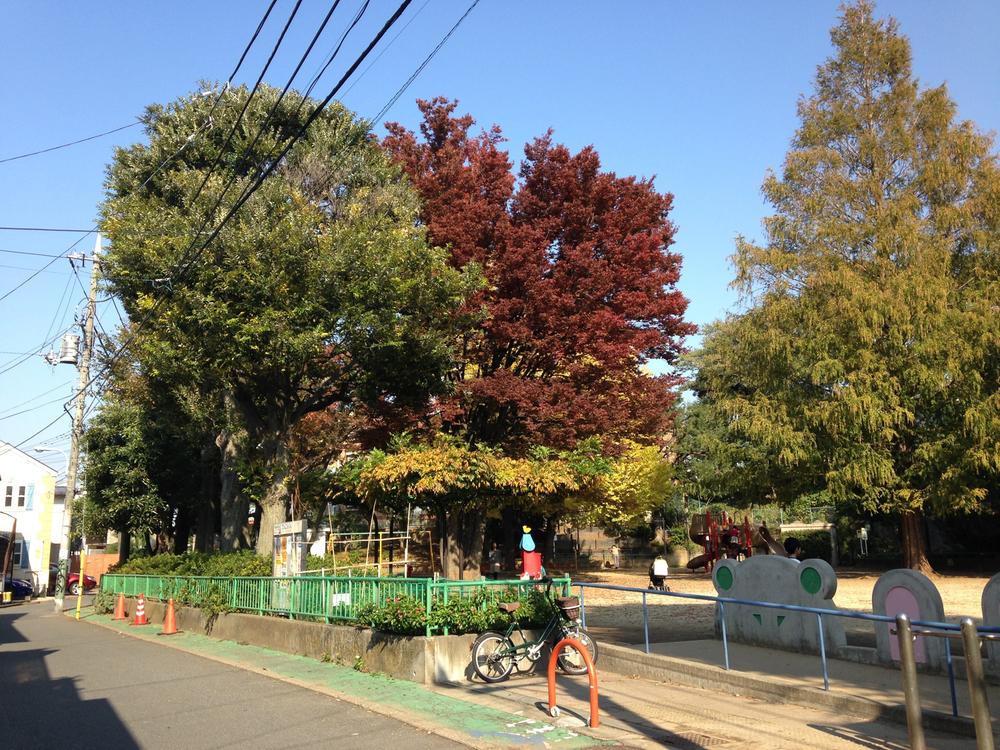 park. And 290m spacious to Koenji East Park is a park that is felt more season of trees