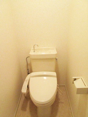 Toilet. Toilet