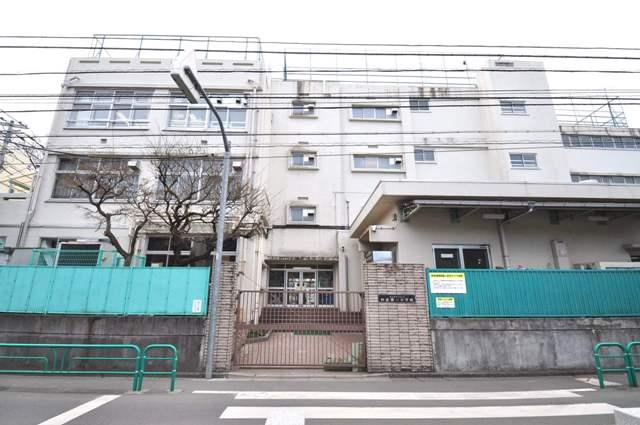 Primary school. 578m to Suginami first elementary school