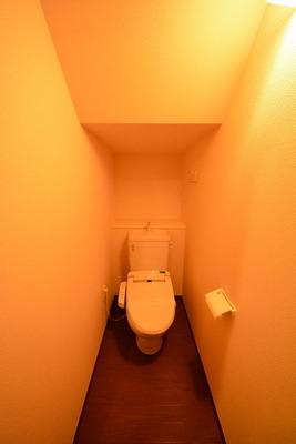 Toilet. Toilet