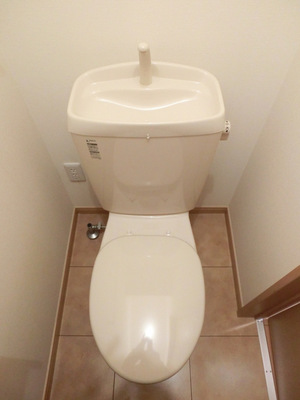 Toilet. Western-style toilet