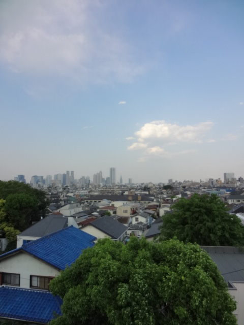 View. Good view! There is no unobstructed!