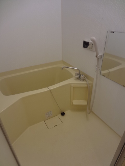 Bath. Bathing is with hot water type reheating function!