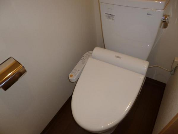 Toilet. It comes with a bidet.