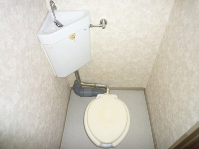 Toilet. Toilet