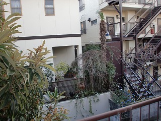 Balcony. Veranda