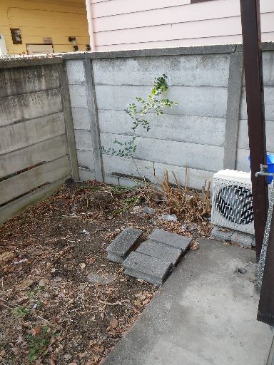 Garden. There is a washing machine storage is on the terrace