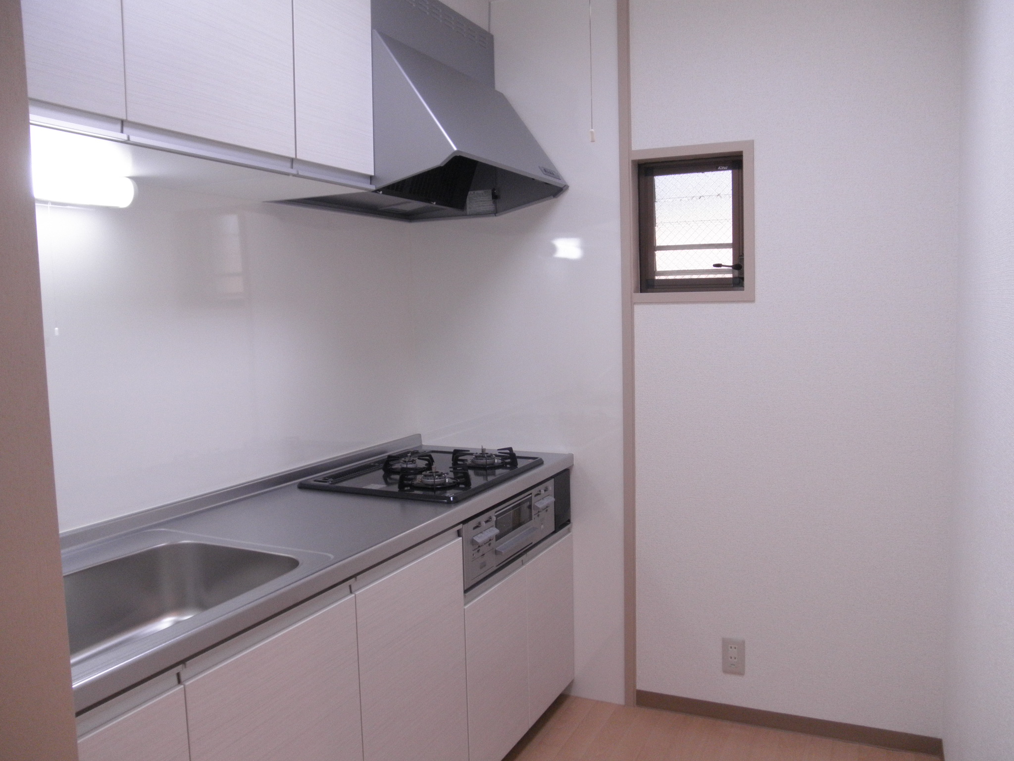 Kitchen. System kitchen new