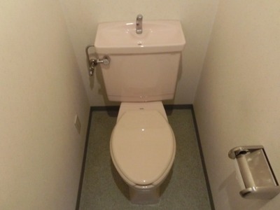 Toilet. Toilet