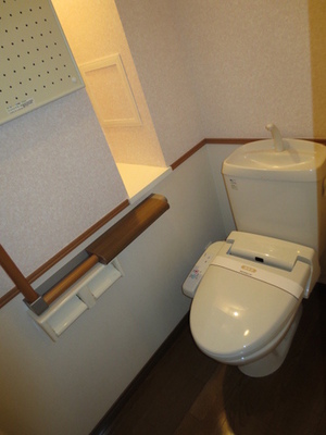 Toilet. Convenient shelf is attached to the toilet