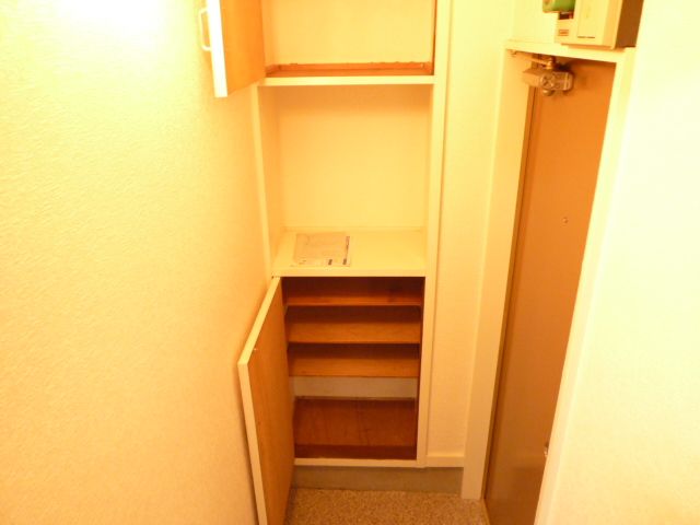 Entrance. Cupboard