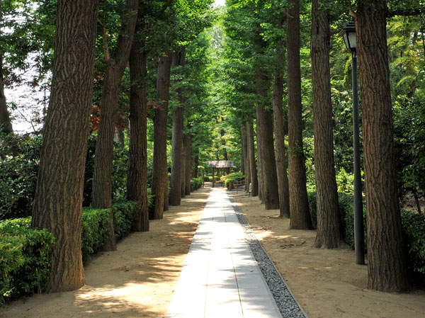 Surrounding environment. Otaguro park (about 700m ・ A 9-minute walk)