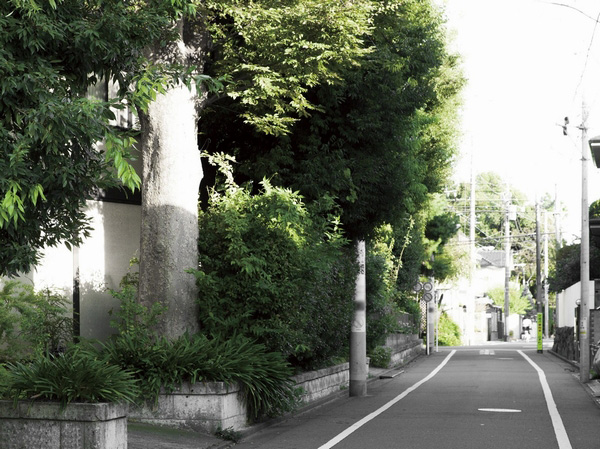 In the vicinity of local streets (about 550m ・ 7-minute walk)