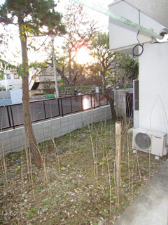 Balcony. Veranda