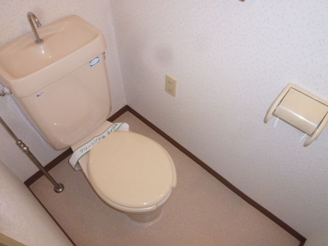 Toilet. Toilet with cleanliness