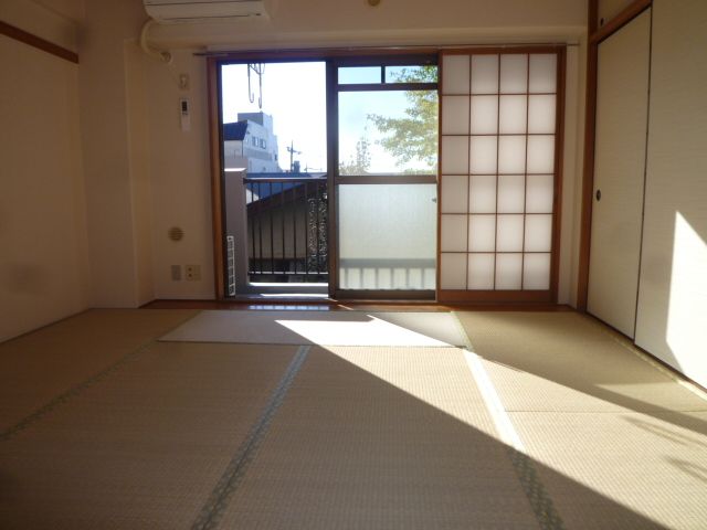 Living and room. Spacious Japanese-style