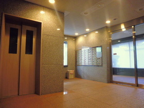 Entrance. Elevator hall with cleanliness