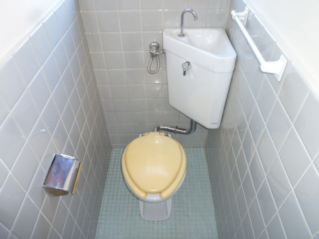 Toilet. Toilet with cleanliness