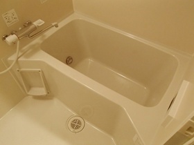 Bath. With reheating bus (302, Room photo)