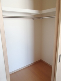 Other. A walk-in with CL (302, Room photo)