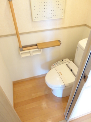 Toilet. Bidet
