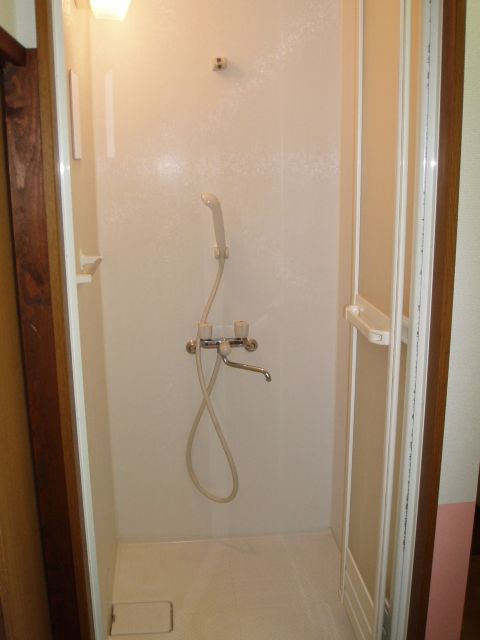 Bath. Shower unit