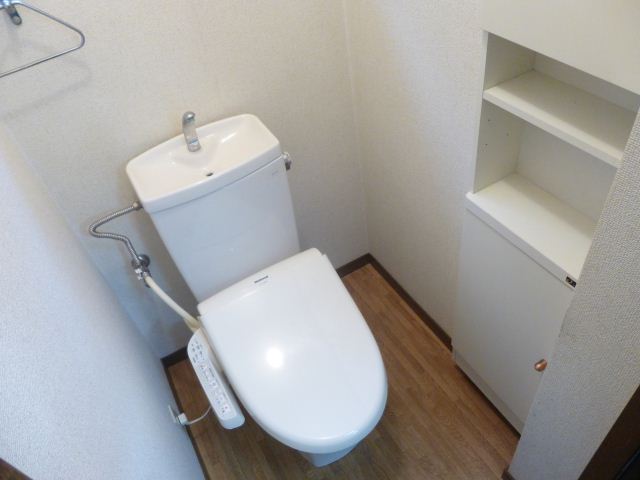 Toilet. There is a toilet of cleanliness with a bidet! 