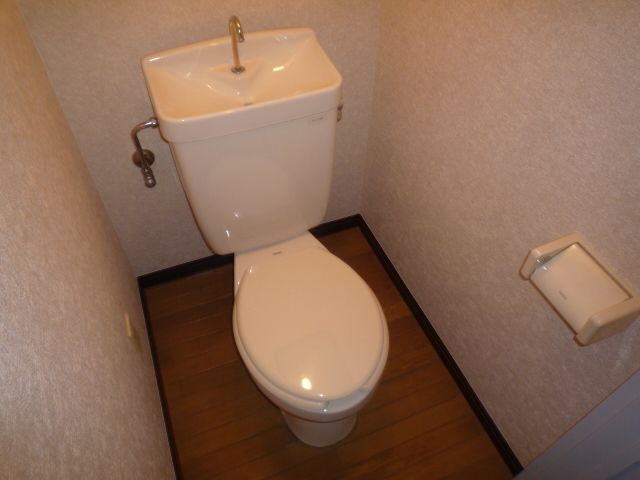 Toilet. Toilet with cleanliness