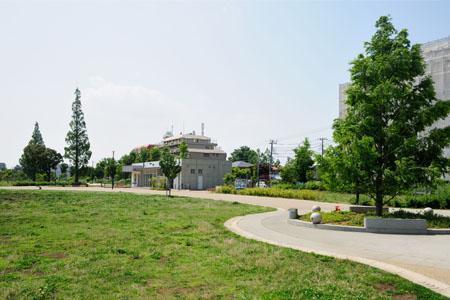 park. Play in the open field as far as the eye can see, "Momoi Harappa Park"